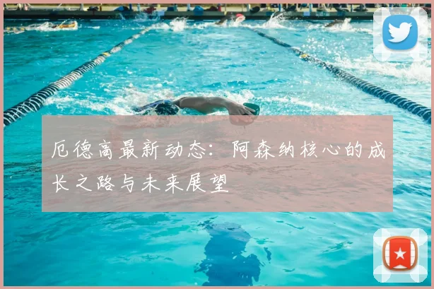 厄德高最新动态：阿森纳核心的成长之路与未来展望