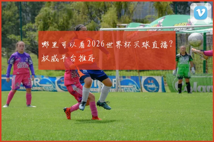 哪里可以看2026世界杯买球直播？权威平台推荐