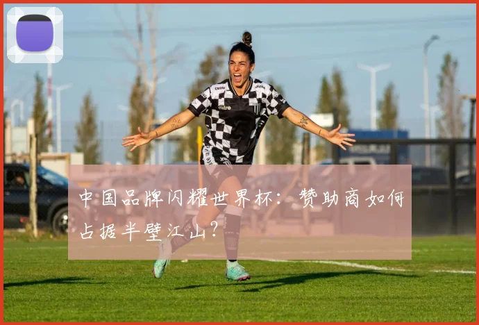 中国品牌闪耀世界杯：赞助商如何占据半壁江山？